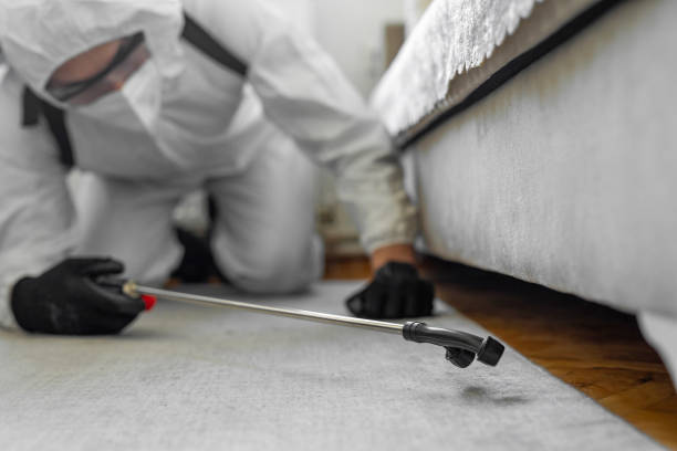 Professional Termite Control technician working in Sidney, NE