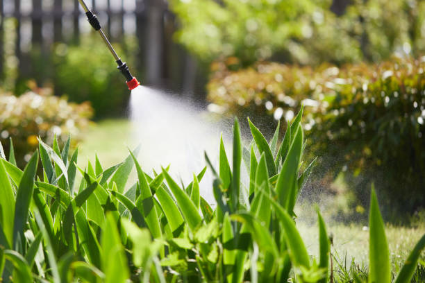 24/7 Emergency Termite Control experts in Sidney, NE